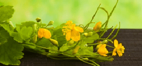 Clean flowers