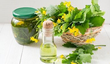 Folk remedies for papillomas