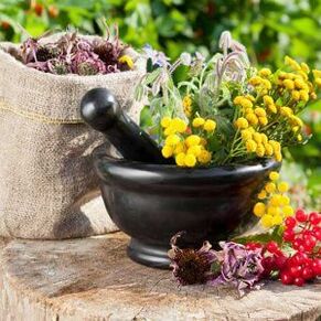 herbs for treating papillomas